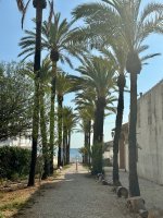 Camping LosPinos in Denia