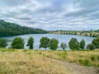 Weinfelder "Maar". Ein vulkanischer See in der Eifel