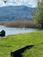 Lago Maggiore in Angera