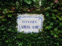 Ananasplantage