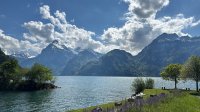 Vierwaldstättersee aus Sisikon