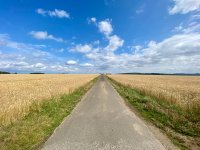 Eine Strasse und sonst nur Land
