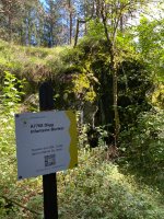 Infanteriebunker im Wald