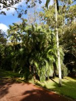 Der Residenzpark des Präsidenten der Azoren