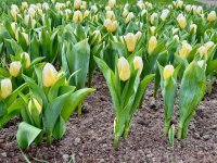 Einige Frühaufsteher gibts auch hier