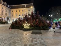 Ein Berg Weihnachtsbäume