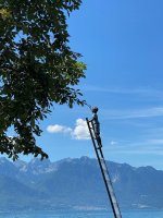 Junge auf Leiter 