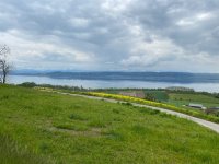 Neuenburgersee bei Concise