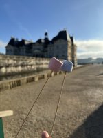Als Zugabe gab's Marshmallows zum rösten