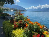 Montreux
