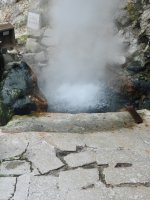 Furnas - Das Tal der heißen Quellen
