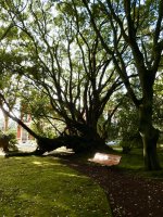 Der Residenzpark des Präsidenten der Azoren