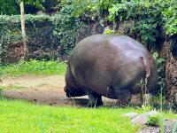 Fat bottomed girls You make the rockin' world go 'round