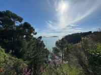 Lerici