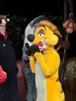 Timon