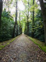 Terra Nostra Park - Eine 200 Jahre alte Geschichte und den Titel als schönster Park der Welt