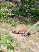 Die Zoo liegt direkt gegenüber vom Hotel