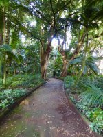 Botanischer Garten José de Canto