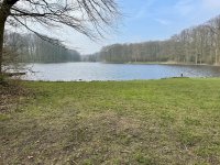 Die haben allerdings einen grösseren Weiher wie ich zuhause