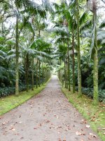 Terra Nostra Park - Eine 200 Jahre alte Geschichte und den Titel als schönster Park der Welt