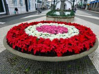 Weihnachtsdeko überall in der Stadt
