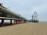 Strand in Scheveningen
