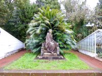 Ananasplantage