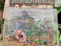 Bei der Dschungelprüfung