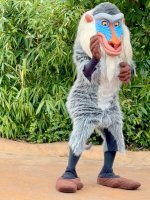 Rafiki