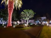 Weihnachtsbeleuchtung in Ponta Delgada