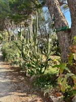 Camping LosPinos in Denia