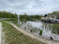 Pinte du Lac de Sauvabelin