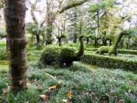 Terra Nostra Park - Eine 200 Jahre alte Geschichte und den Titel als schönster Park der Welt