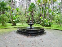Terra Nostra Park - Eine 200 Jahre alte Geschichte und den Titel als schönster Park der Welt