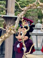 Meet Mickey
