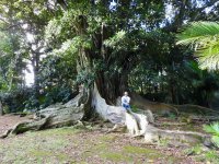 Botanischer Garten José de Canto