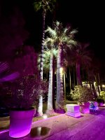 Cannes