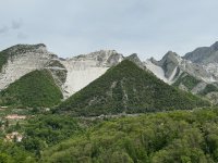 Carrara