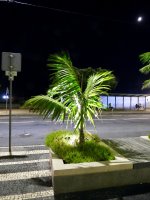 Weihnachtsbeleuchtung in Ponta Delgada