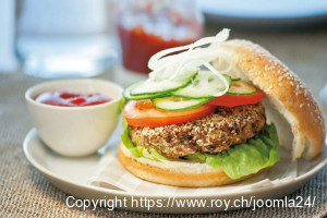 Hamburger
